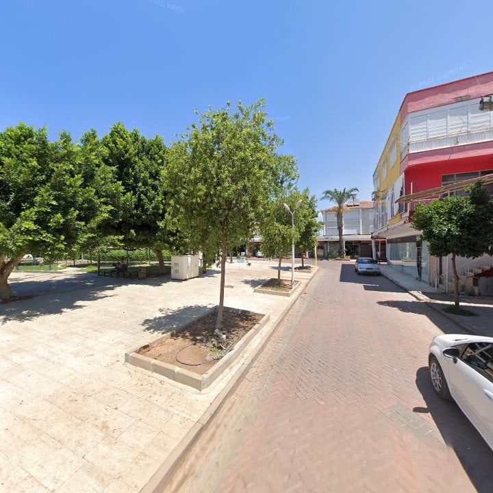Fotoğraf 9