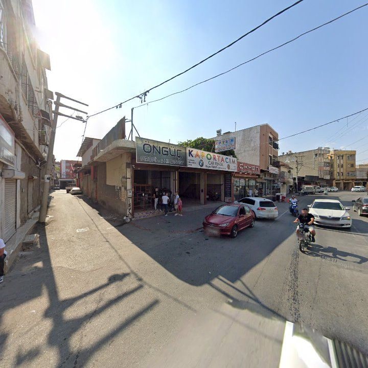 Fotoğraf 7