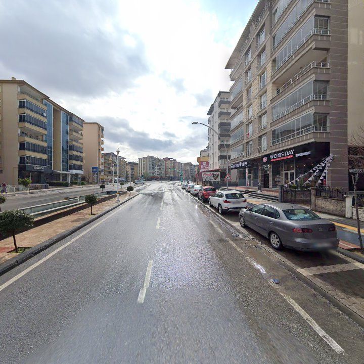 Fotoğraf 10