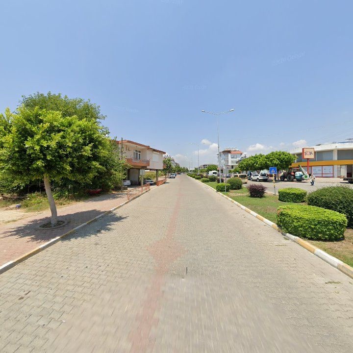 Fotoğraf 10