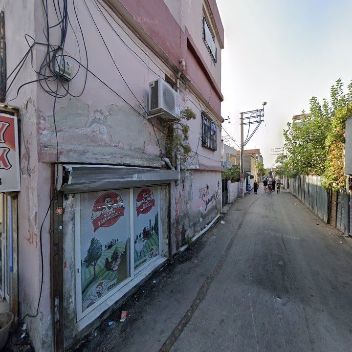 Fotoğraf 7