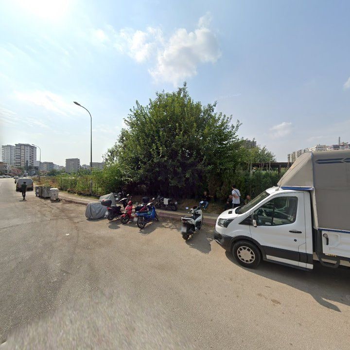 Fotoğraf 9