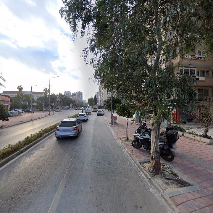Fotoğraf 11