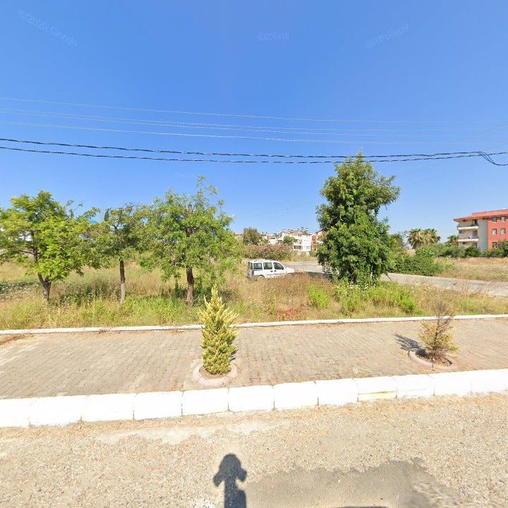 Fotoğraf 8
