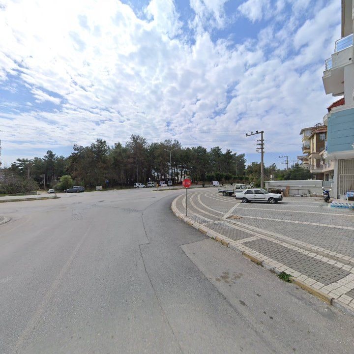 Fotoğraf 8