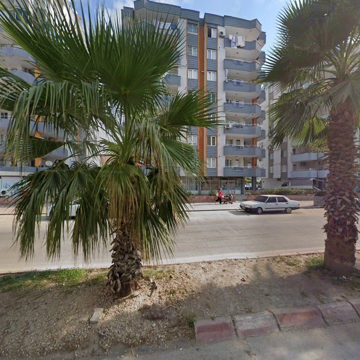 Fotoğraf 10