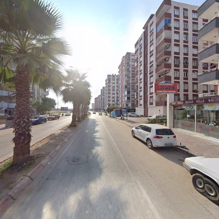 Fotoğraf 11