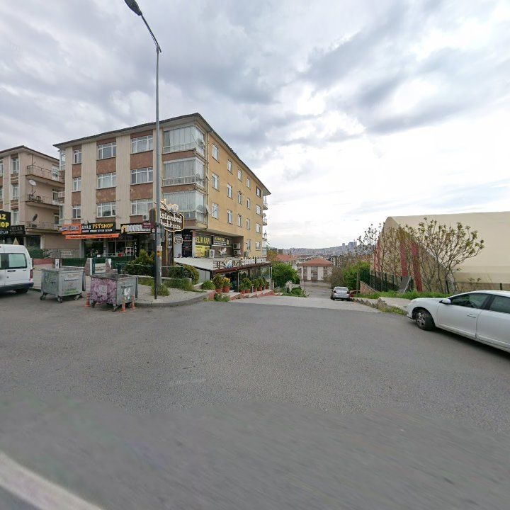 Fotoğraf 9