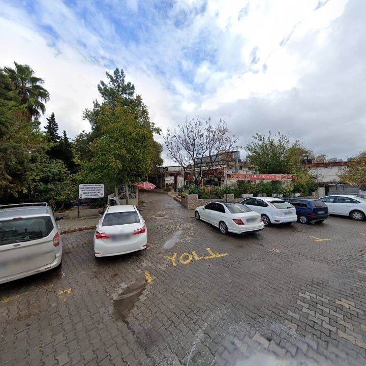 Fotoğraf 8