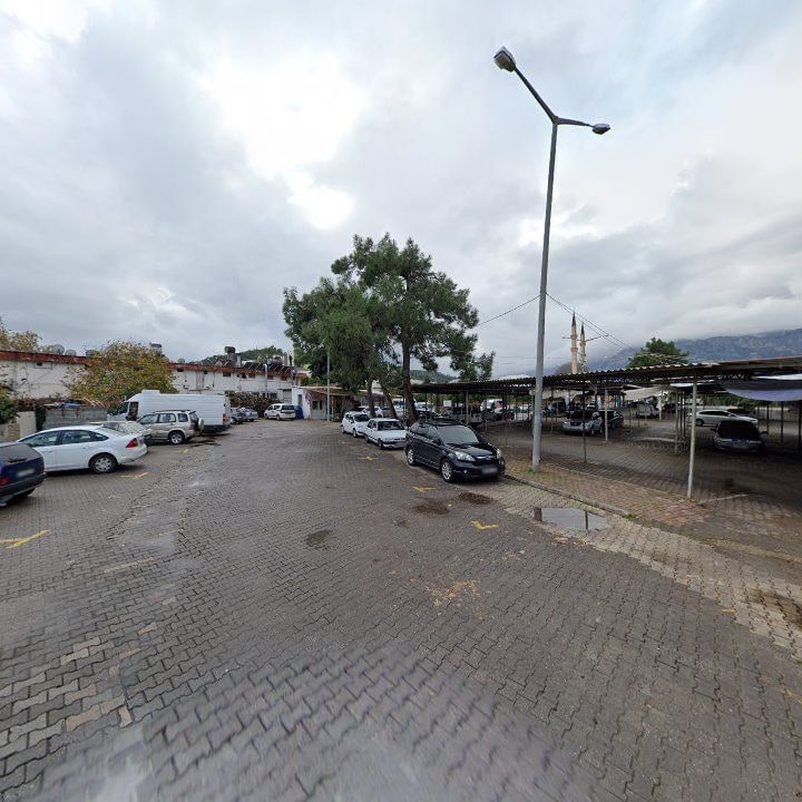 Fotoğraf 9