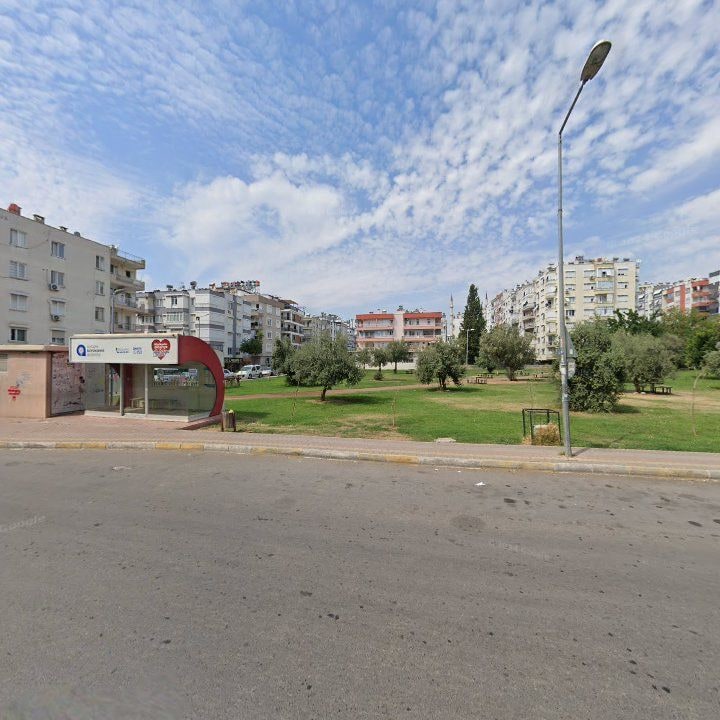 Fotoğraf 8