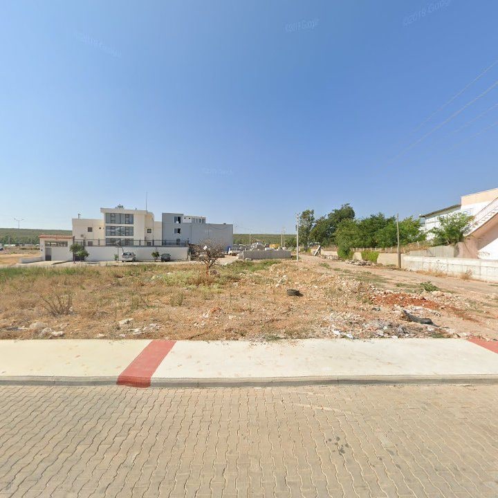 Fotoğraf 10