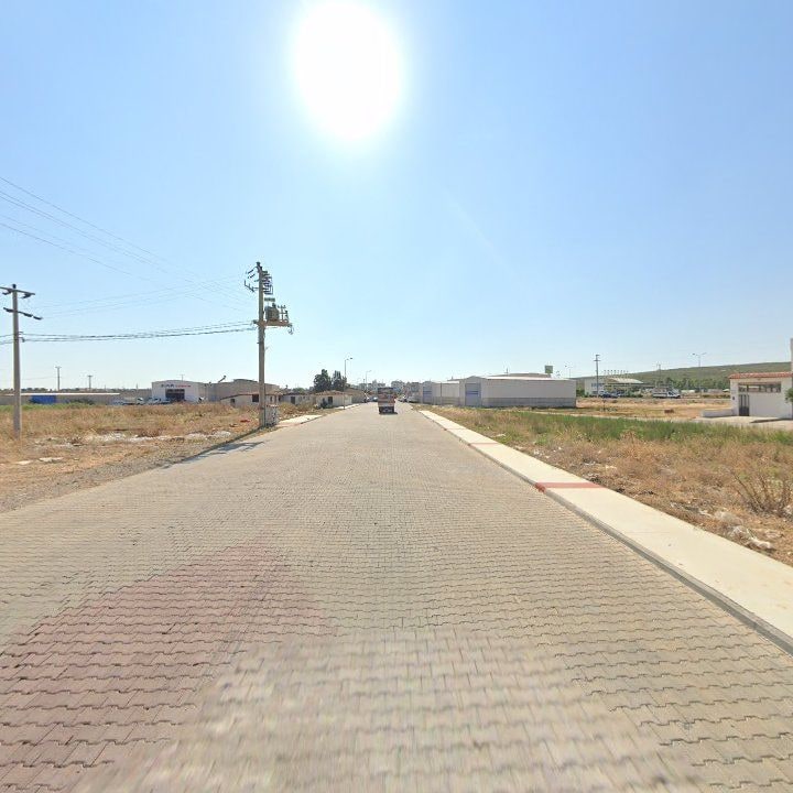 Fotoğraf 9