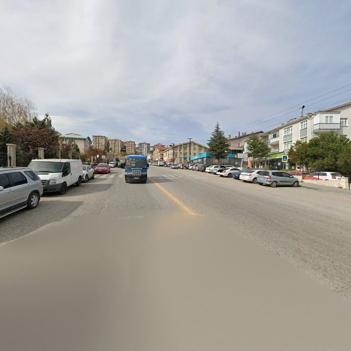 Fotoğraf 8