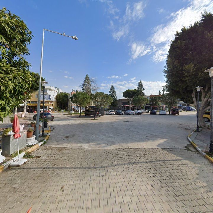 Fotoğraf 8