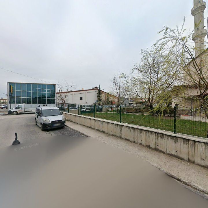 Fotoğraf 5