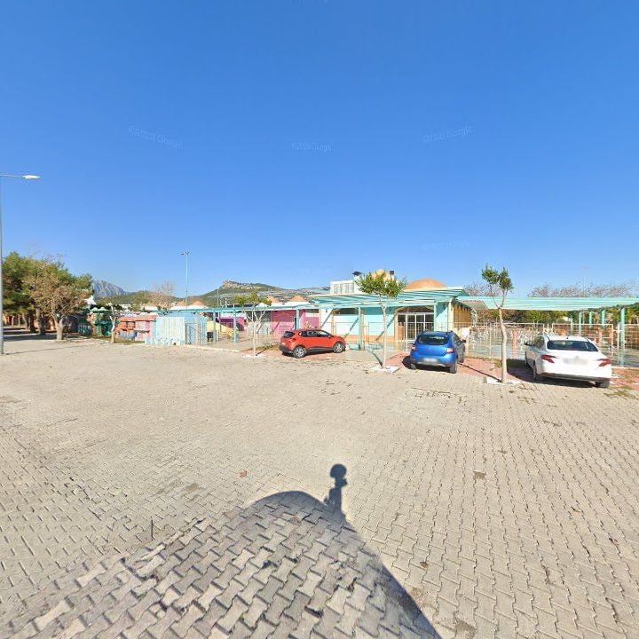 Fotoğraf 8