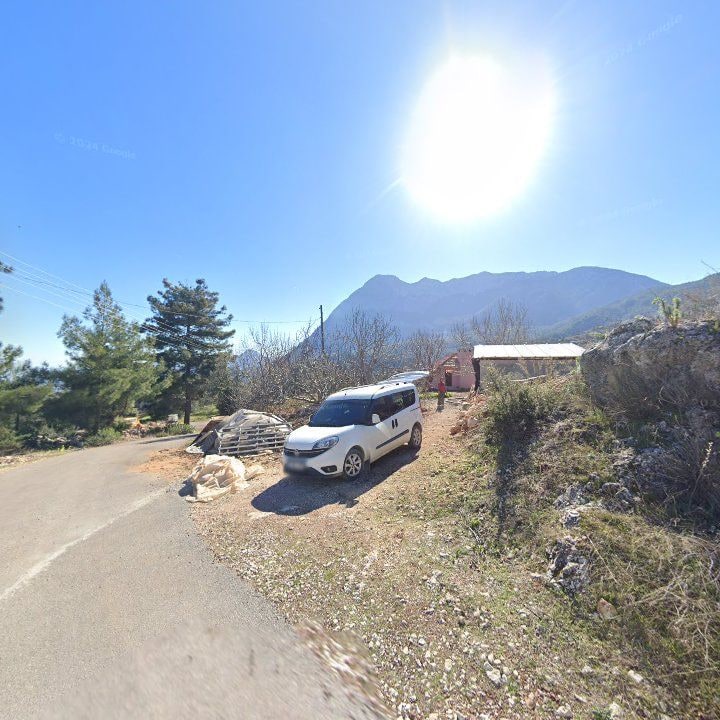 Fotoğraf 8