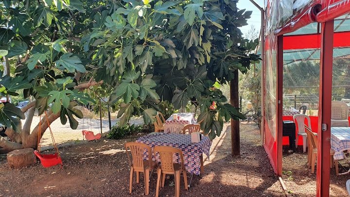 07 Çınaraltı Gözleme