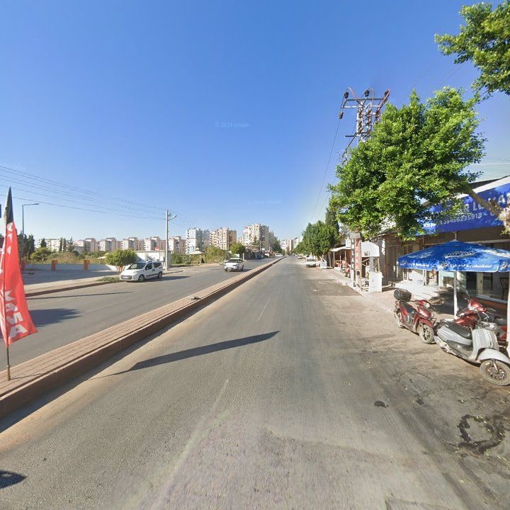 Fotoğraf 6