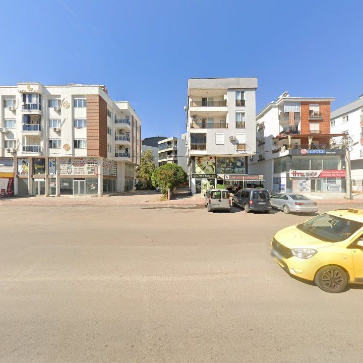 Fotoğraf 7