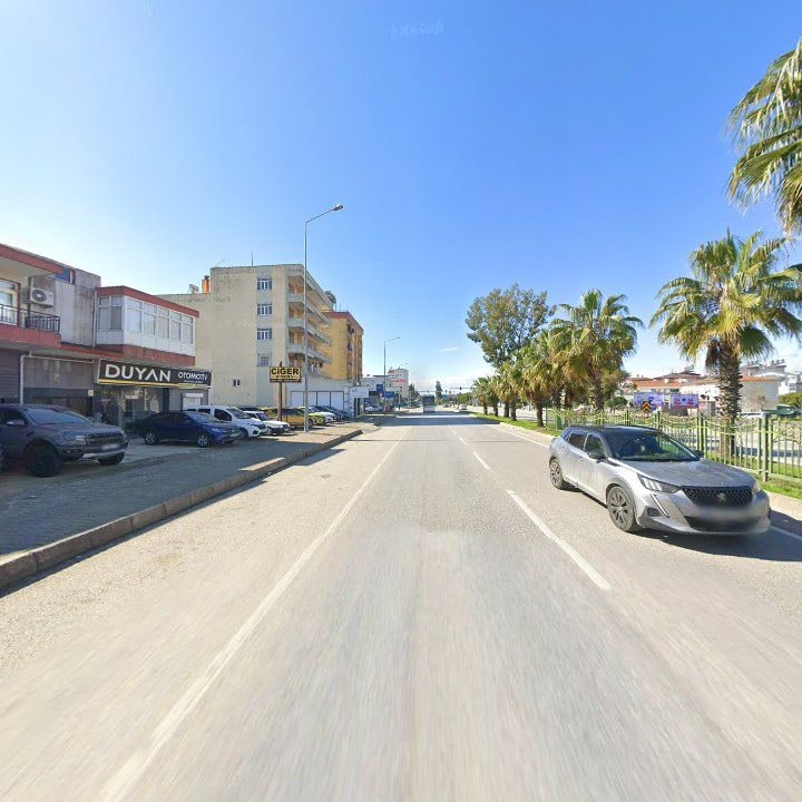 Fotoğraf 10