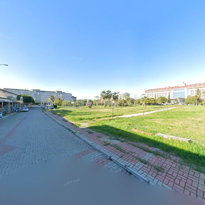 Fotoğraf 10