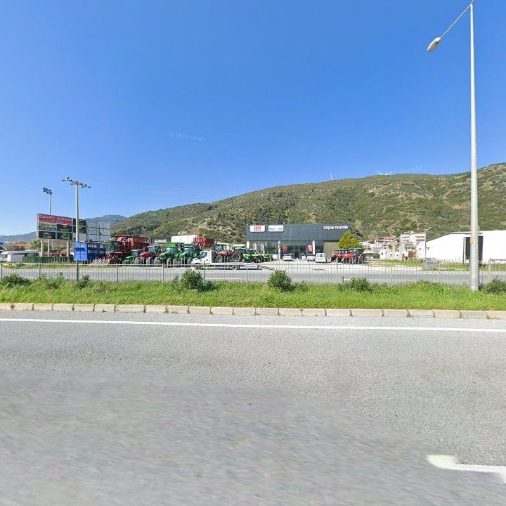 Fotoğraf 10