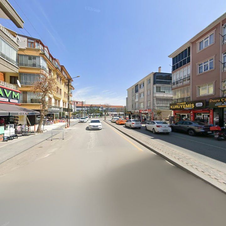 Fotoğraf 8