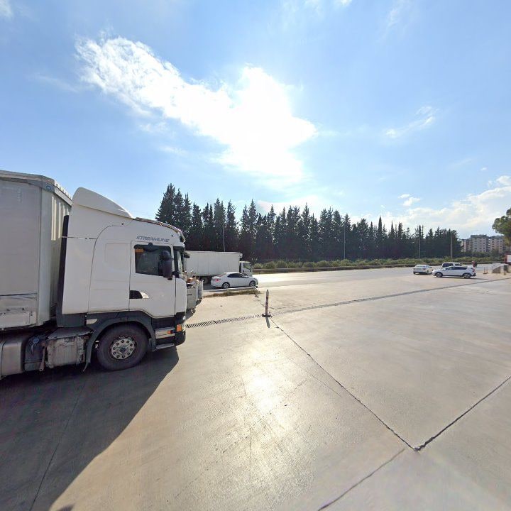 Fotoğraf 11