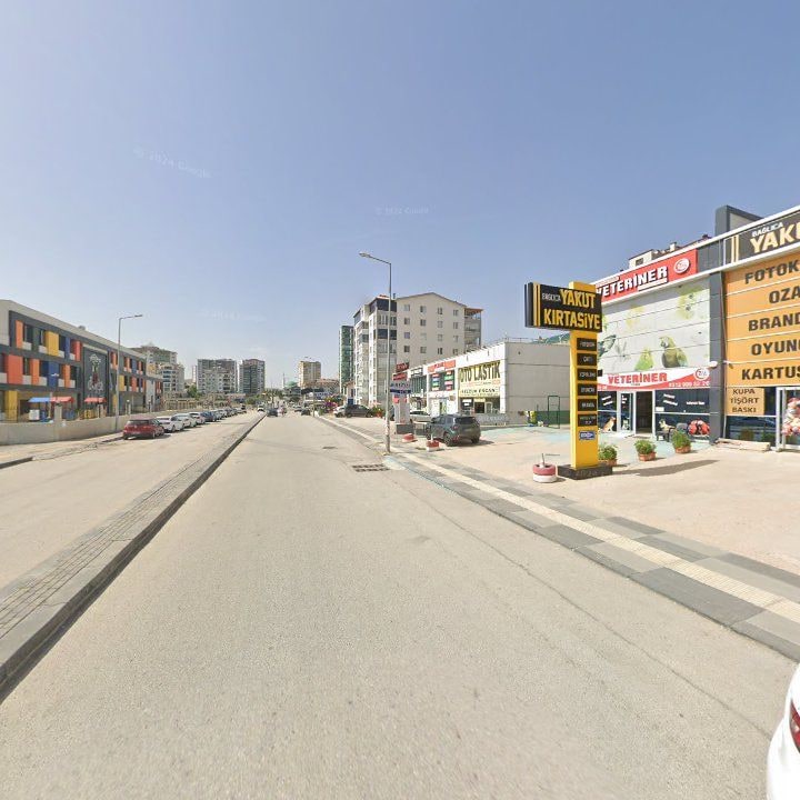 Fotoğraf 11