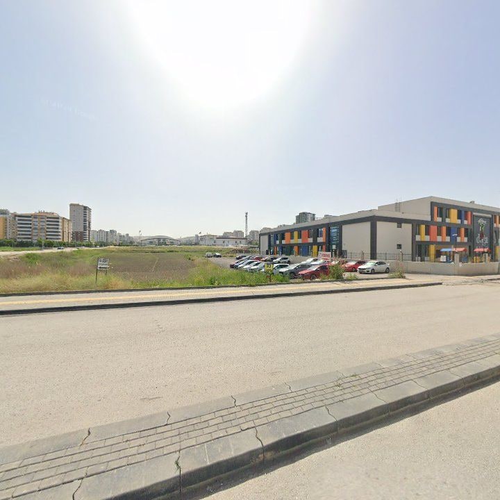 Fotoğraf 10
