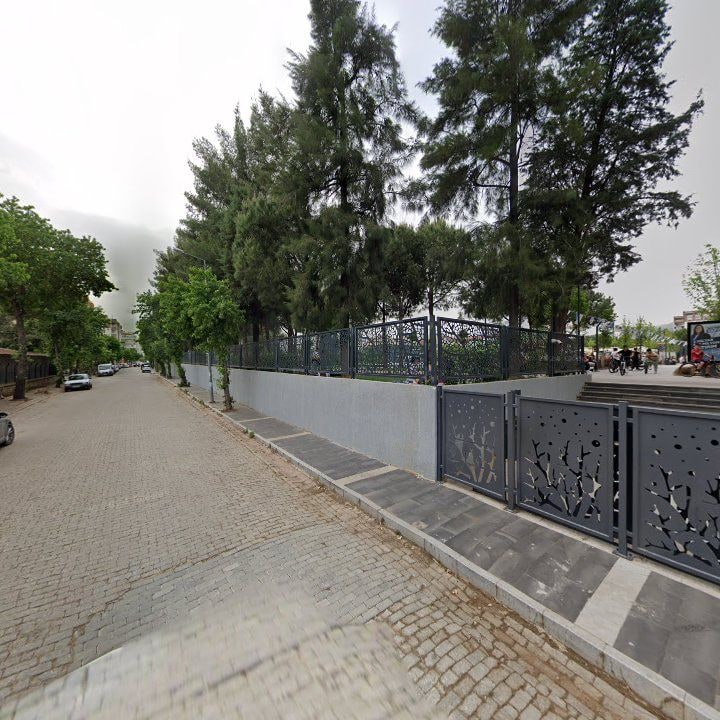 Fotoğraf 8