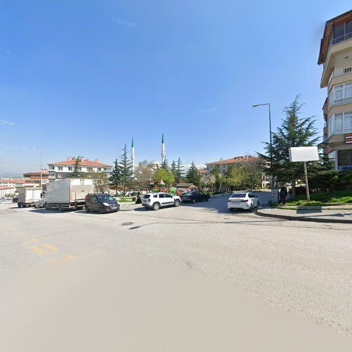 Fotoğraf 8