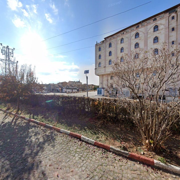 Fotoğraf 8