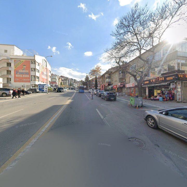 Fotoğraf 10