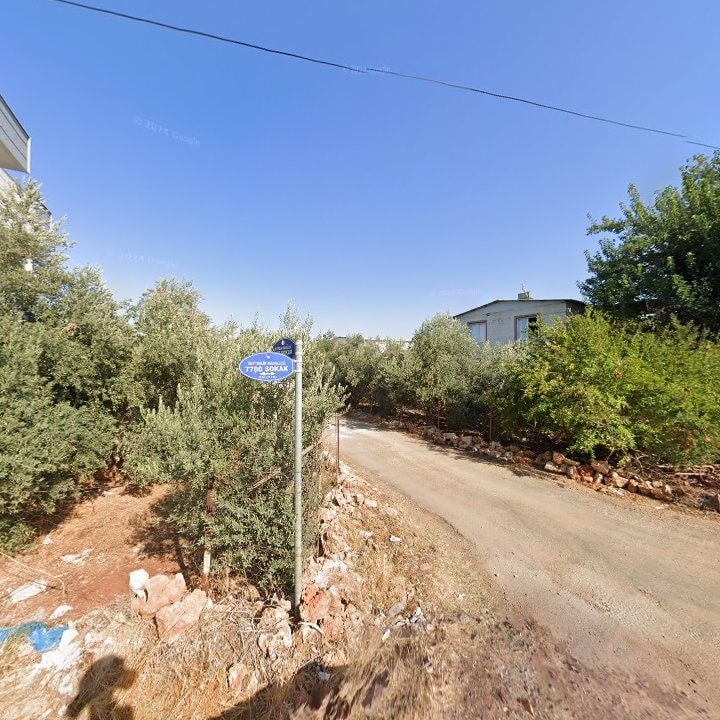 Fotoğraf 7
