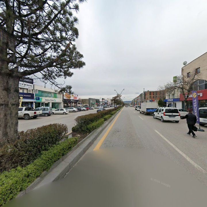 Fotoğraf 10