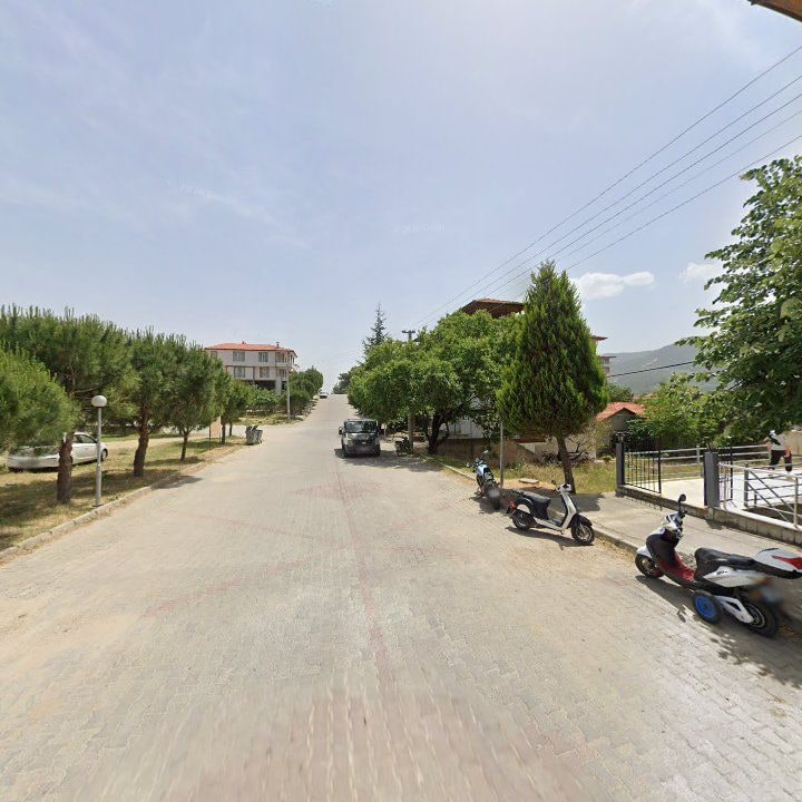 Fotoğraf 7