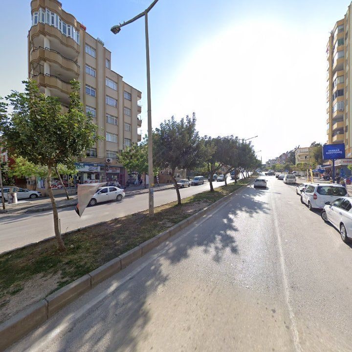Fotoğraf 7