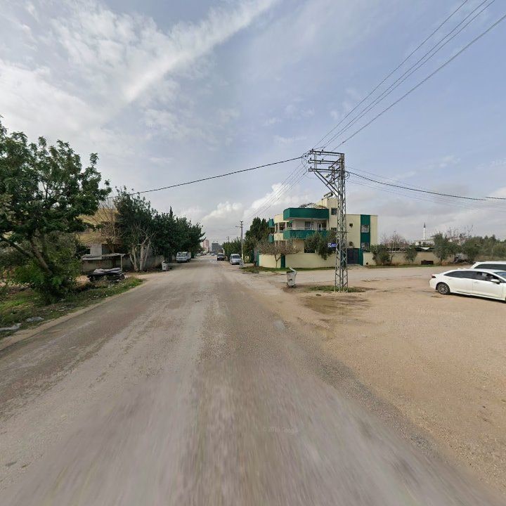 Fotoğraf 10
