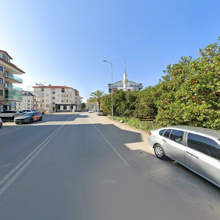 Fotoğraf 8