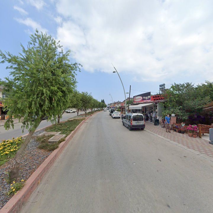 Fotoğraf 11