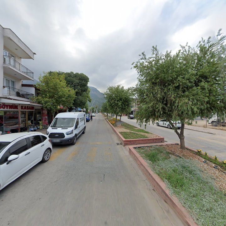 Fotoğraf 9