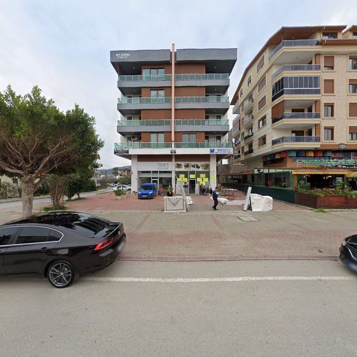 Fotoğraf 10