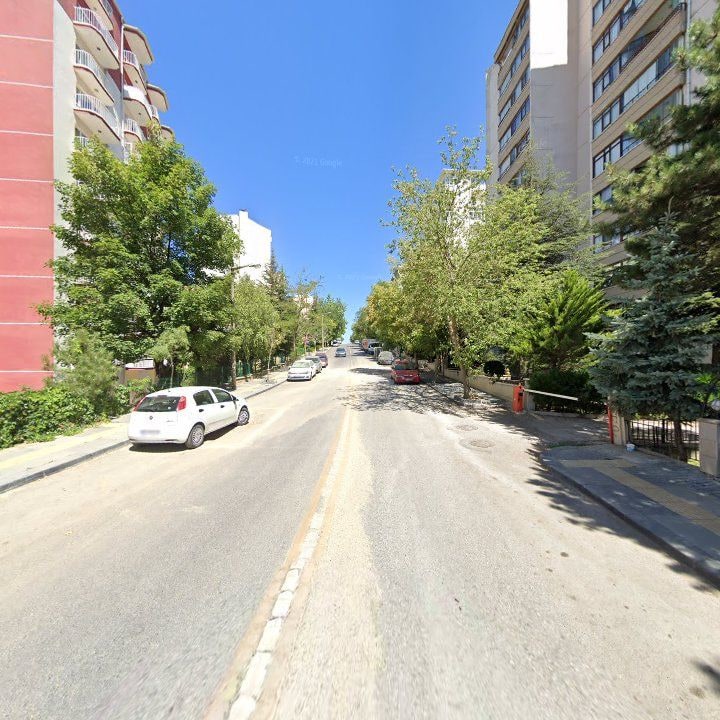 Fotoğraf 10