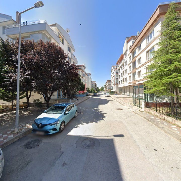 Fotoğraf 10