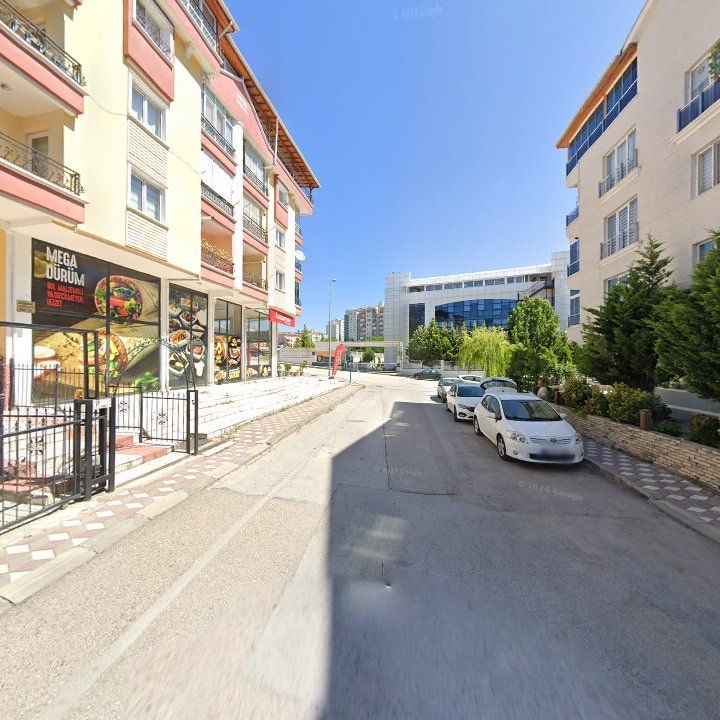 Fotoğraf 12
