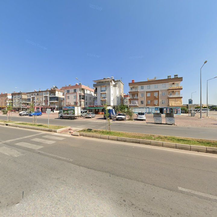 Fotoğraf 10