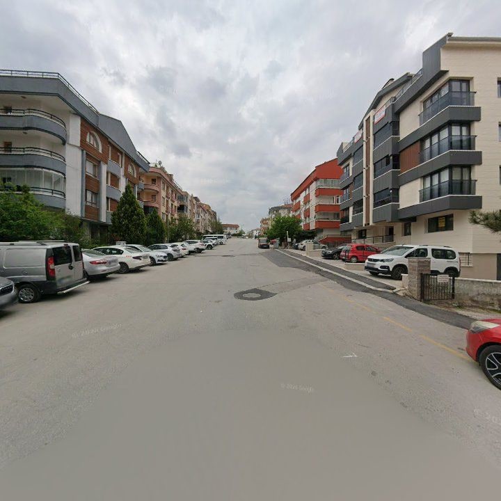 Fotoğraf 8